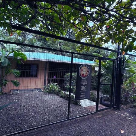 Casita Happy Feet And Tours Corcovado Hotel Drake Bay Bagian luar foto