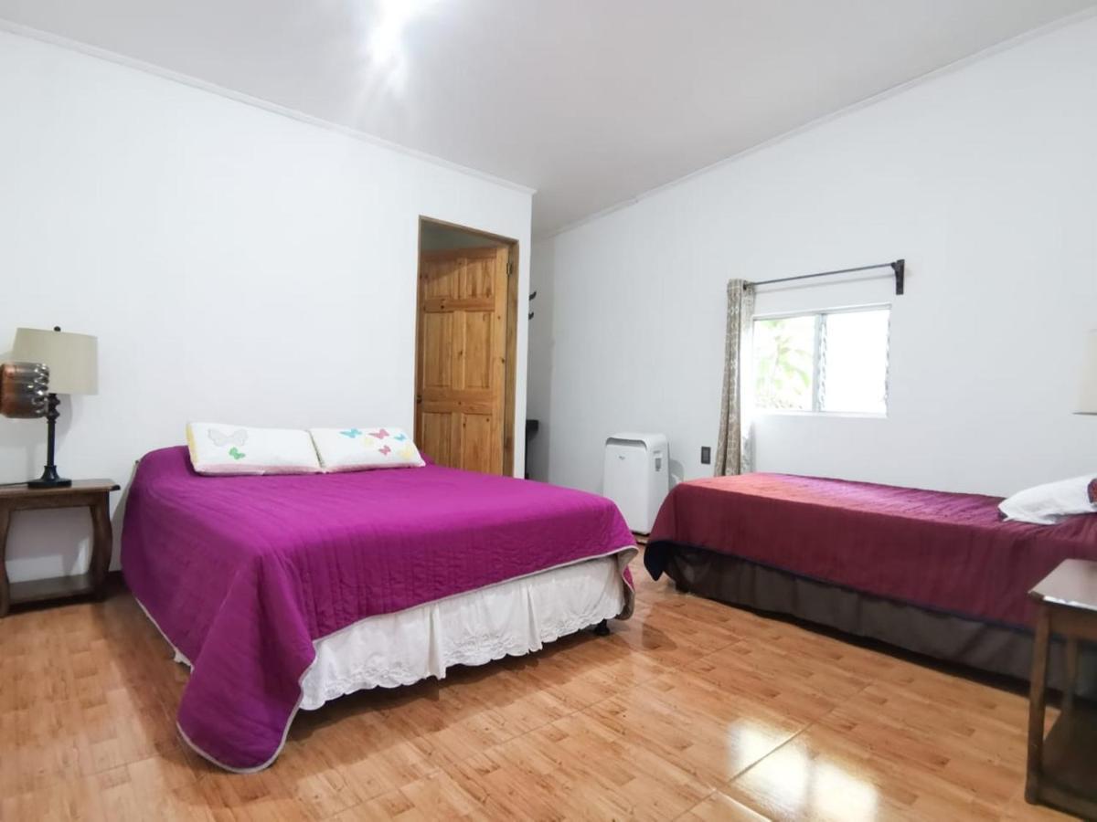 Casita Happy Feet And Tours Corcovado Hotel Drake Bay Bagian luar foto